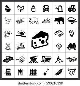 Agriculture Icon Vector Illustration
