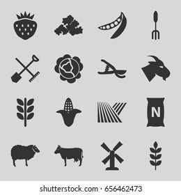 Agriculture icons set. set of 16 agriculture filled icons such as wheat, field, shovel and rake, cabbage, corn, cow, goat, sheep, mill, mud, pitchfork, garden tools