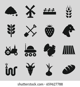 Agriculture icons set. set of 16 agriculture filled icons such as wheat, field, shovel and rake, onion, bread, tractor, chicken, turkey, goat, mill, water hose, sprout plants