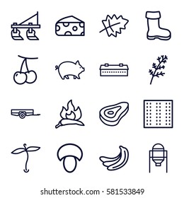 Agriculture icons set. Set of 16 Agriculture outline icons such as plant, field, pig, beef, mushroom, barn, leaf, cherry, banana, deel, chili, cheese, tank, boot, barrow