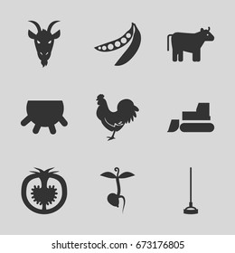 Agriculture icons set.  