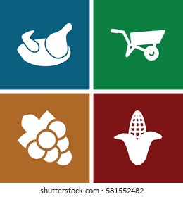 agriculture icons set. Set of 4 agriculture filled icons such as chicken, corn, wheel barrow