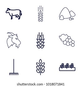 Agriculture icons. set of 9 editable outline agriculture icons such as wheat, cow, rake, sprout plants, goat, grape