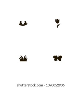 Agriculture icons set. plant, nest, butterfly and bird