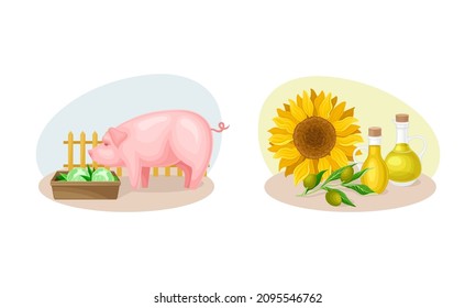 Agriculture industry and farm objects set. Livestock and sunflower oil production cartoon vector illustration