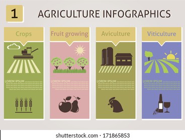 Agriculture infographics