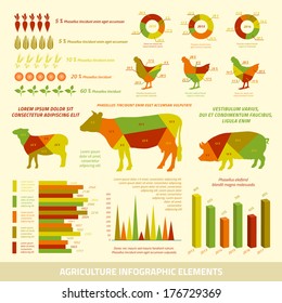 Agriculture infographics flat design elements of livestock chickens and crops vector illustration