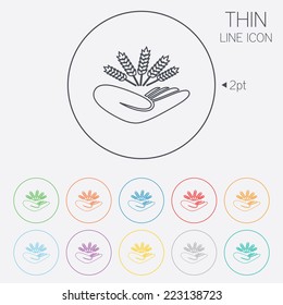 Agriculture insurance sign icon. Hand holds wheat. Protection against crop failure and drought. Thin line circle web icons with outline. Vector