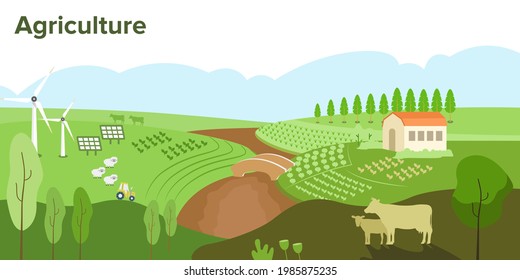 agriculture land farming with wind energy, solar energy, countryside green background and integrated  farming illustration