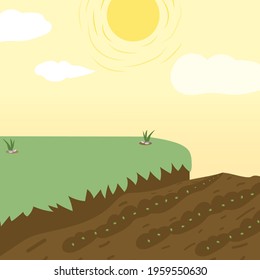 Agriculture landscape vector premium with soil and green bean