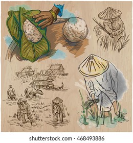 Agriculture - Life of a farmer. RICE CROP. Collection of hand drawn vector illustrations. Set of freehand sketches. Colored. Line art technique.