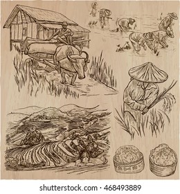 Agriculture - Life of a farmer. RICE CROP. Collection of hand drawn vector illustrations. Set of freehand sketches. Line art technique.