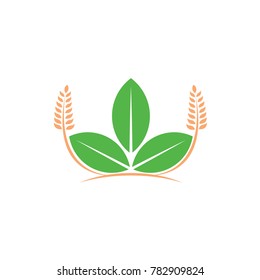 Agriculture logo design template vector, leaf and wheat icon