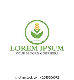 agriculture logo , nature logo vector