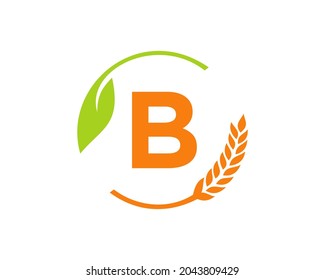 Agriculture Logo On B Letter Concept. Agriculture and farming logo design. Agribusiness, Eco-farm and rural country design with B letter Template