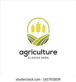 Agriculture Wheat Grain Logo Design Template Stock Vector (Royalty Free ...