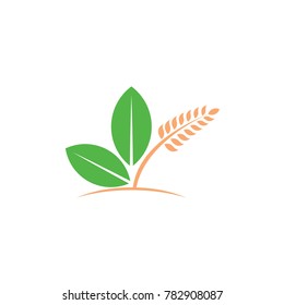 Agriculture logo template with leaf and wheat vector