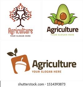 Agriculture logo with tree avocado leaf and acorn vector suitable for sales nurseries fruit farmers