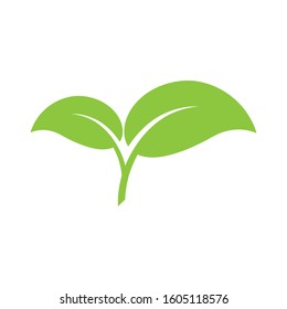 Agriculture Logo
Tree leaf vector logo design, eco-friendly concept
