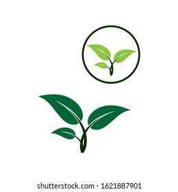 Agriculture Logo
Tree leaf vector logo design, eco-friendly concept