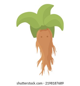 Agriculture mandrake icon cartoon vector. Magic mandragora. Herb plant