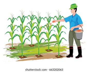 agriculture manure corn plant vector design