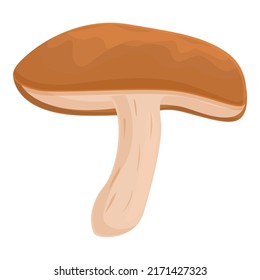 Agriculture mushroom icon cartoon vector. Shiitake food. Chinese shitake