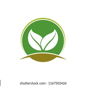 agriculture natural plant fertile vector for logo design template