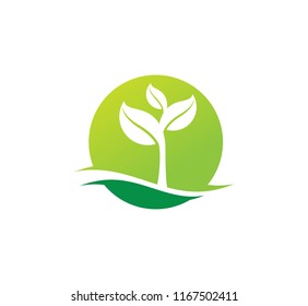 agriculture natural sprout plant fertile vector for logo design template