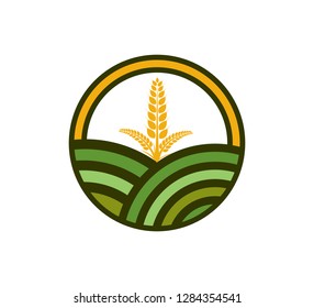 agriculture organic plant rice field vector icon logo design template