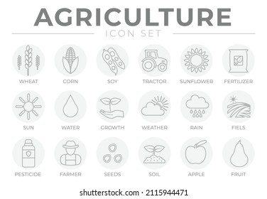 Agriculture Outline Gray Round Icon Set of Wheat, Corn, Soy, Tractor, Sunflower, Fertilizer, Sun, Water, Growth, Weather, Rain, Fields, Pesticide, Farmer, Seeds, Soil, Apple, Fruit Icons.