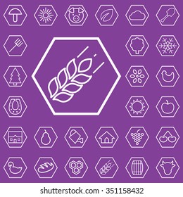 agriculture outline, thin, flat, digital icon set for web and mobile