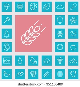 agriculture outline, thin, flat, digital icon set for web and mobile