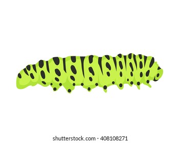 Agriculture pest caterpillar icon. Macro of caterpillars isolated on white. Polyxena caterpillar vector illustration