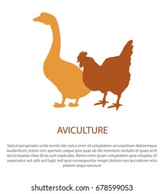 Agriculture poster with silhouette of hen and goose vector illustration isolated. Domestic fowl in flat design. Logo design for fresh poultry production