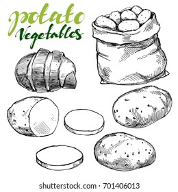 agriculture, potatoes vegetable set hand drawn vector illustration realistic sketch