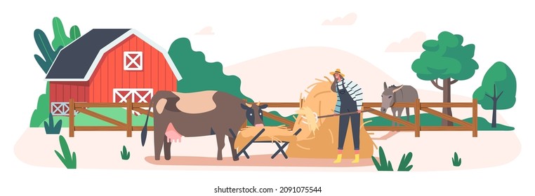 Agriculture, Rancher Working Activity. Young Farmer Woman Feeding Cow Putting Straw in Trough. Female Character at Work Process Caring of Domestic Animals at Cattle Farm. Cartoon Vector Illustration