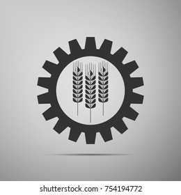 Agriculture symbol with cereal grains and industrial gears or idea. Industrial and agricultural icon isolated on grey background. Wheat and gear. Biotechnology concept. Flat design. Vector