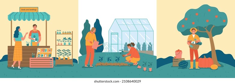 Agriculture three flat square compositions set of farm market planting seedlings and harvest vector illustration