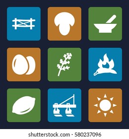 Agriculture vector icons. Set of 9 Agriculture filled icons such as sun, bowl, egg, mushroom, fence, deel, chili, lemon