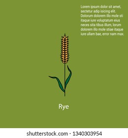 Agriculture. Waiting for harvest. grain elevator.Vector design of rye and stalk symbol. Set of rye and grain stock symbol for web.