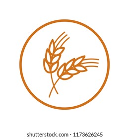 Agriculture whea, brown colour icon. Using for logo or sign of agriculture product. Simple design. Isolate on white background.