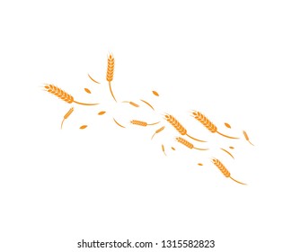Agriculture wheat background Template vector
