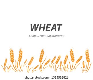 Agriculture wheat background Template vector