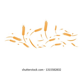 Agriculture wheat background Template vector