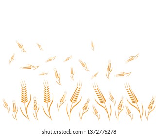 Agriculture wheat background Template vector - Vector