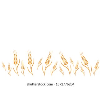 Agriculture wheat background Template vector - Vector