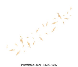 Agriculture wheat background Template vector - Vector