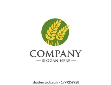 Agriculture Wheat with circle green background logo template vector