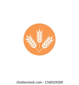 agriculture wheat in the circle  logo design vector illustration